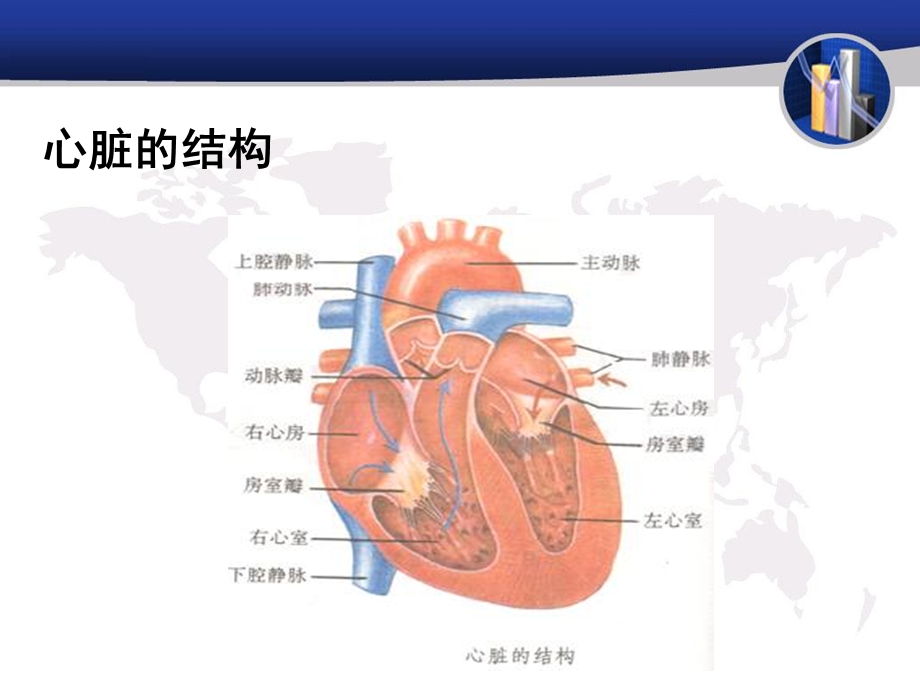 常见的心脏外科疾病简述.ppt_第3页