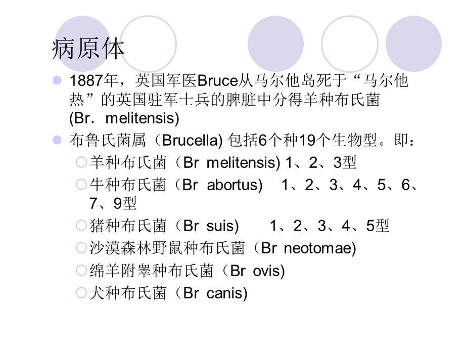 布氏杆菌病的诊断与治疗.ppt_第3页