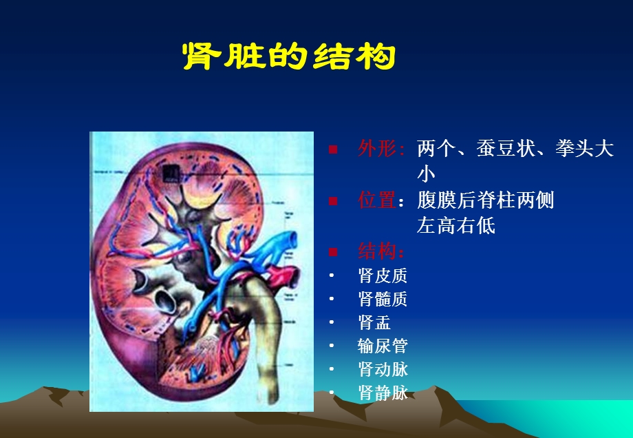 慢性肾脏疾病的护理.ppt_第2页