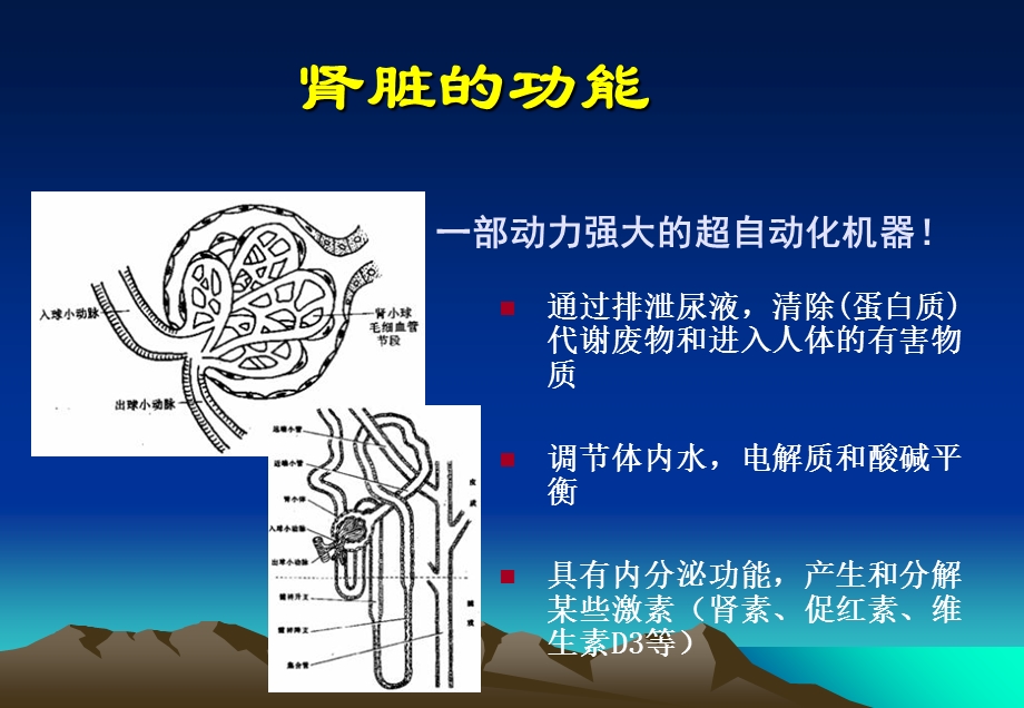 慢性肾脏疾病的护理.ppt_第3页