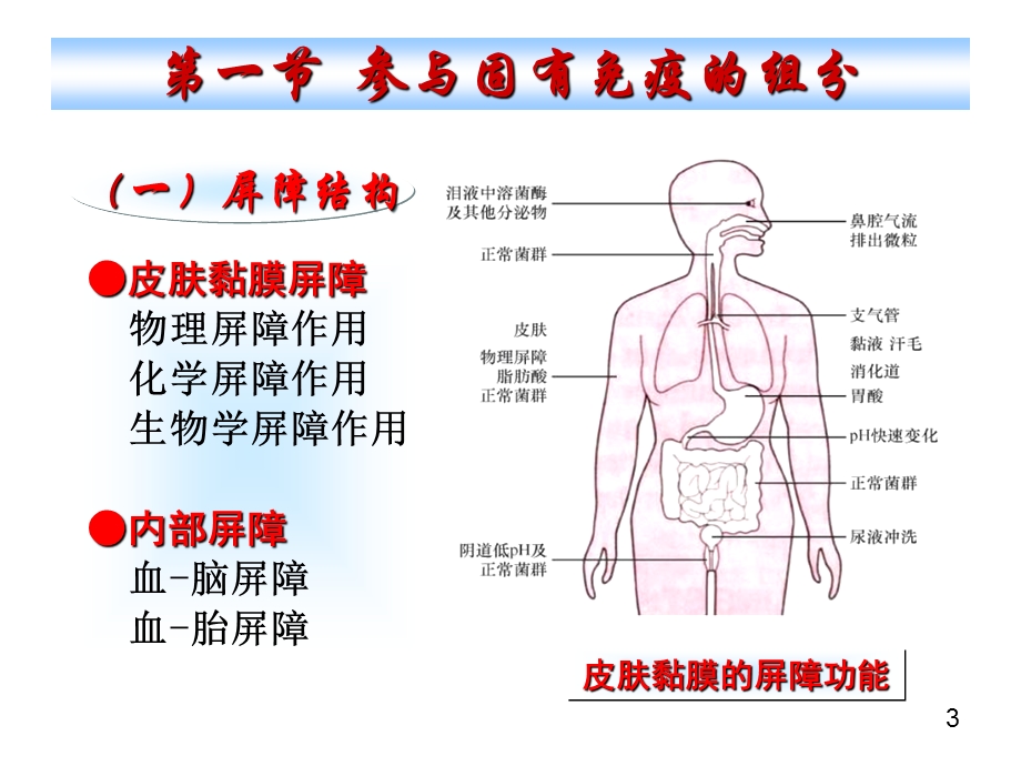 固有免疫与抗感染免疫.ppt_第3页