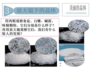 教科版科学六年级下册《放大镜下的晶体》.ppt