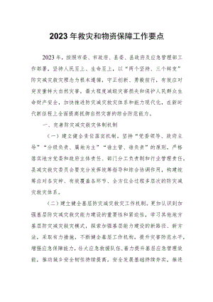 2023年救灾和物资保障工作要点.docx