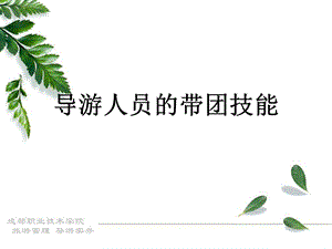 导游人员的带团技能案例分析.ppt