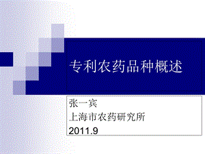 国内外专利产品综述.ppt