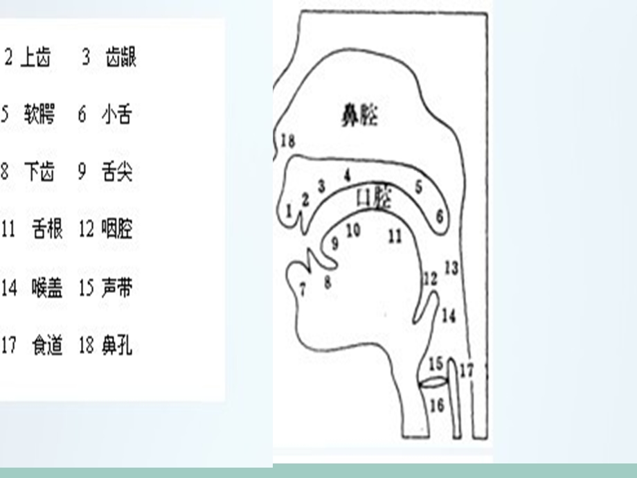 少儿口才第一课件.ppt_第2页