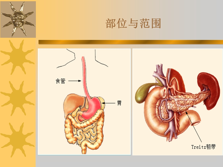 急性消化道大出血的监测及新进展.ppt_第3页