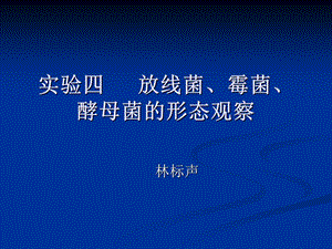 微生物实验四放线菌、霉菌、酵母菌的形态观察.ppt