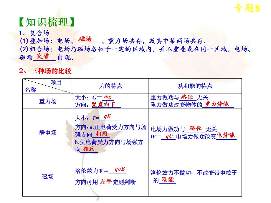 带电粒子在电磁场中的运动.ppt_第3页