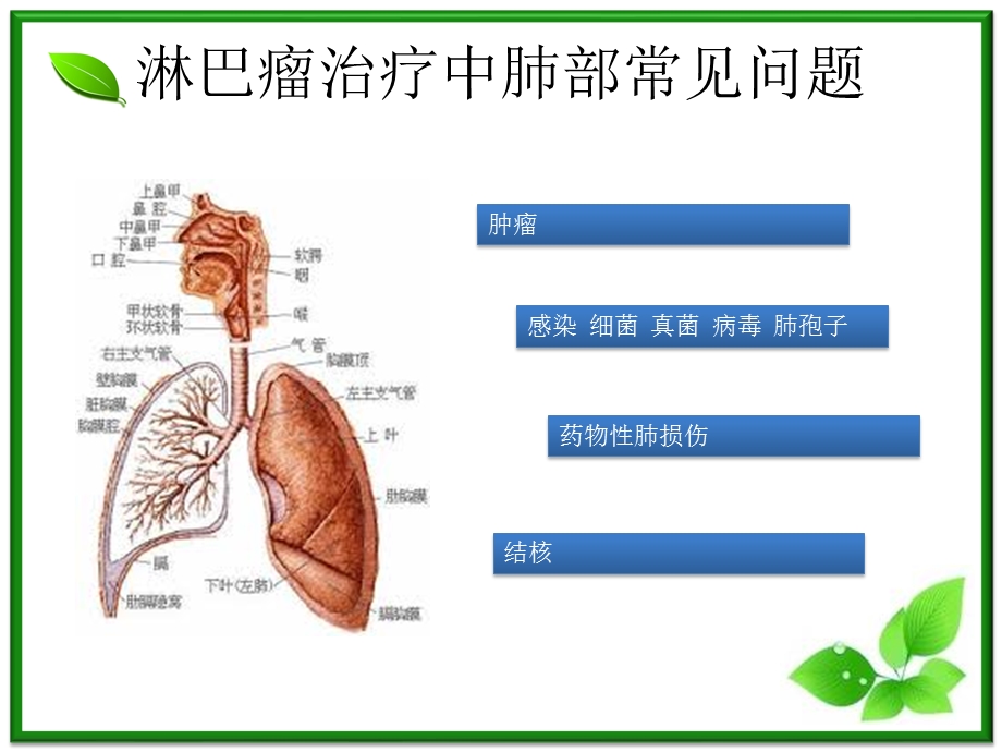 药物性肺损伤.ppt_第2页