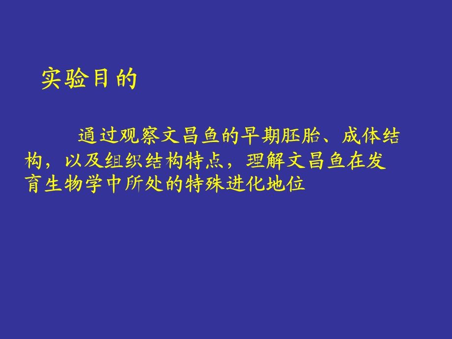 实验-文昌鱼早期胚胎发育及组织结构观察.ppt_第2页