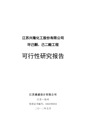 【DOC】某化工公司环己酮及己二酸工程项目可行性研究报告.doc