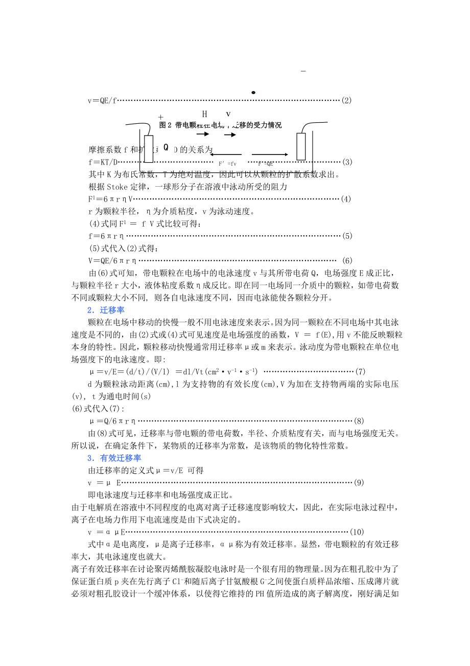 聚丙烯酰胺凝胶电泳方法及原理a.doc_第3页