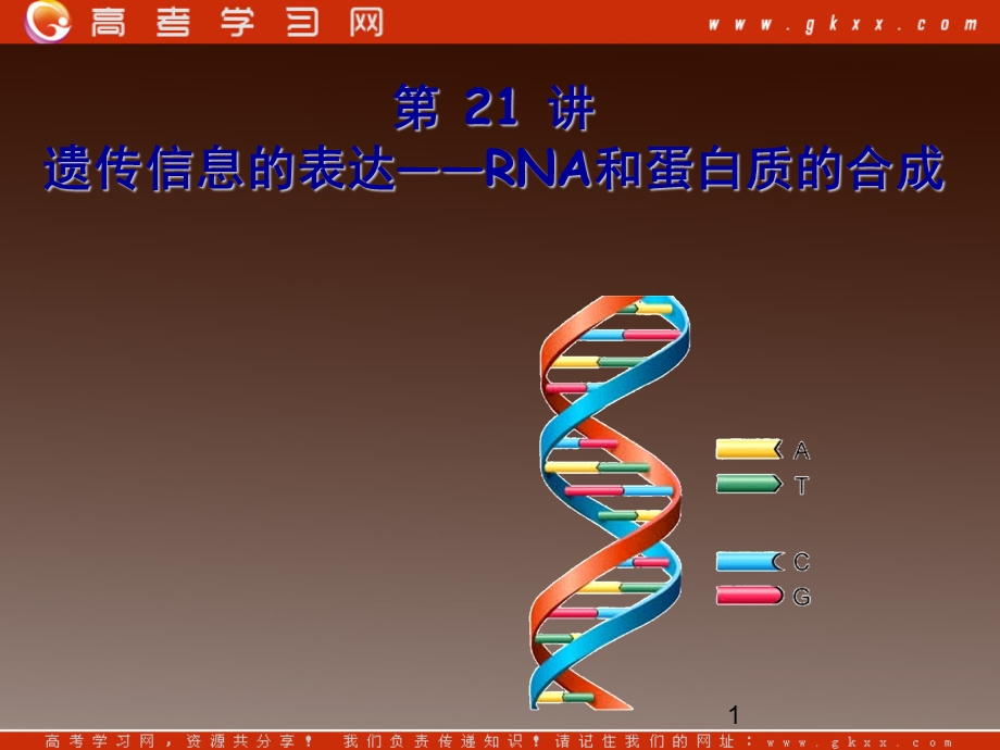 高一生物：第三章《第四节 遗传信息的表达-RNA和蛋白质的合成》课件22（浙教版必修2）.ppt_第1页