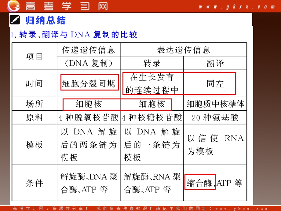 高一生物：第三章《第四节 遗传信息的表达-RNA和蛋白质的合成》课件22（浙教版必修2）.ppt_第3页