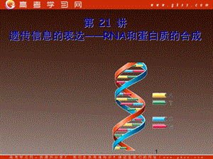 高一生物：第三章《第四节 遗传信息的表达-RNA和蛋白质的合成》课件22（浙教版必修2）.ppt