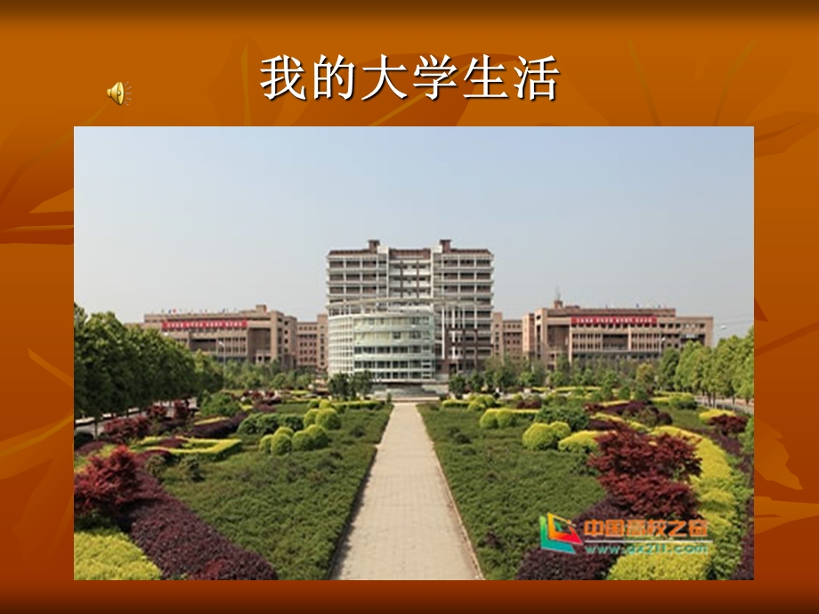 大学生活与网络.ppt_第1页