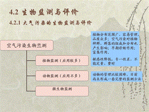 大气污染的生物监测.ppt