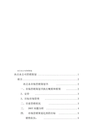 冰点水公司营销策划.doc