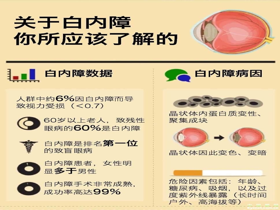 医学ppt眼科带教2白、青.ppt_第3页