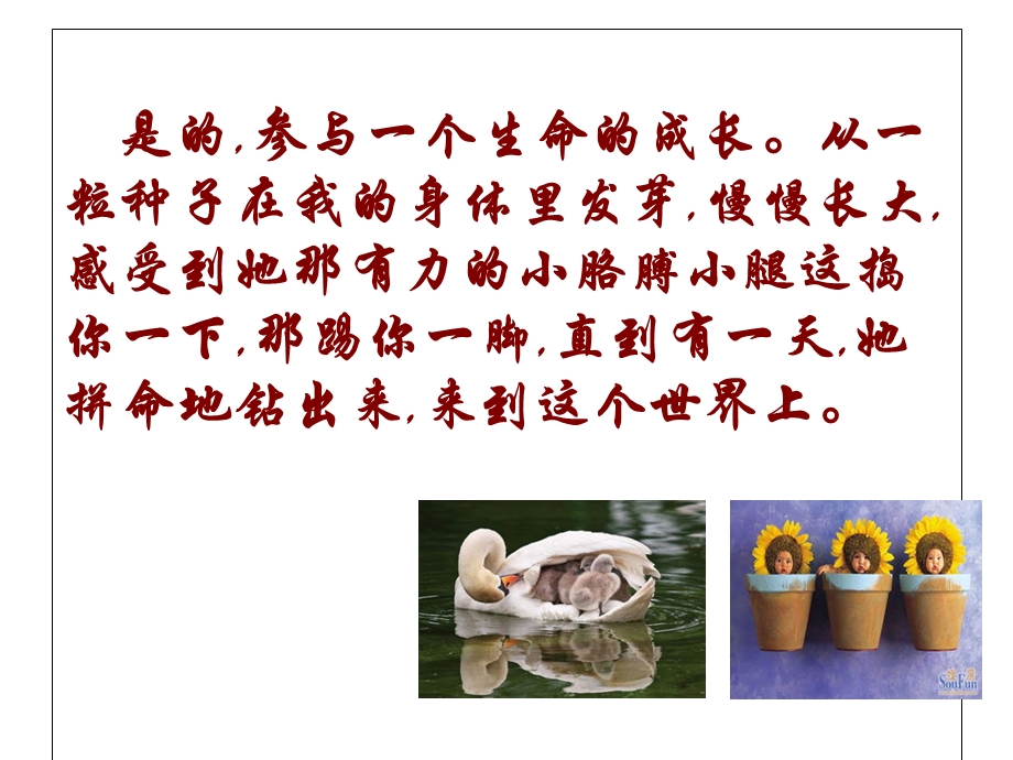 孩子自然的礼物.ppt_第3页