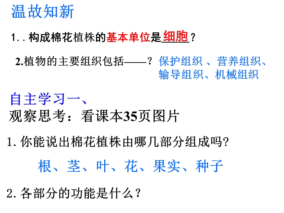 多细胞生物体结构层次课件用.ppt_第2页