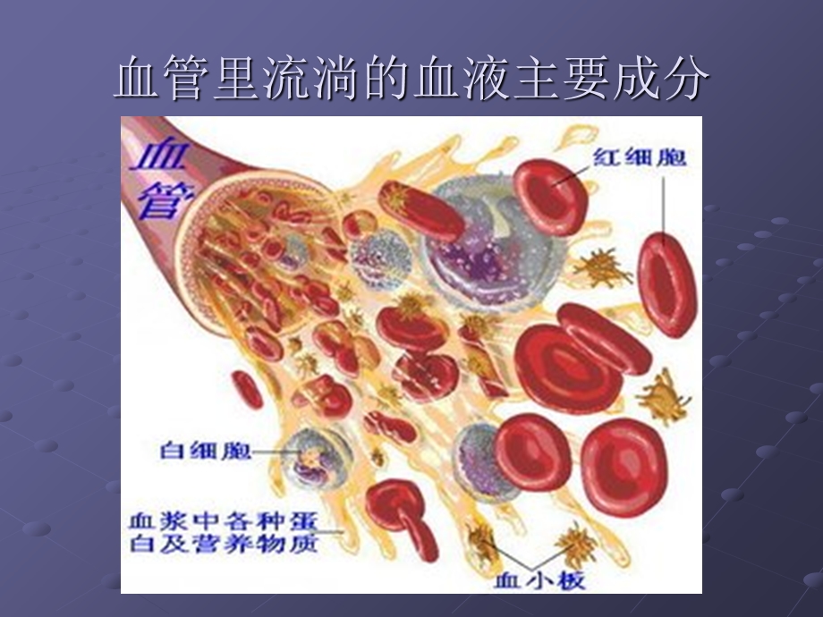 急性肾小球肾炎PPT.ppt_第2页