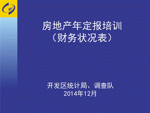 房地产年定报培训财务状况表教学课件.ppt