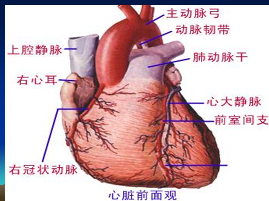 妊娠合并法洛氏四联征.ppt_第3页