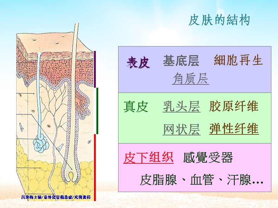 医学ppt第8章第二节烧伤.ppt_第3页