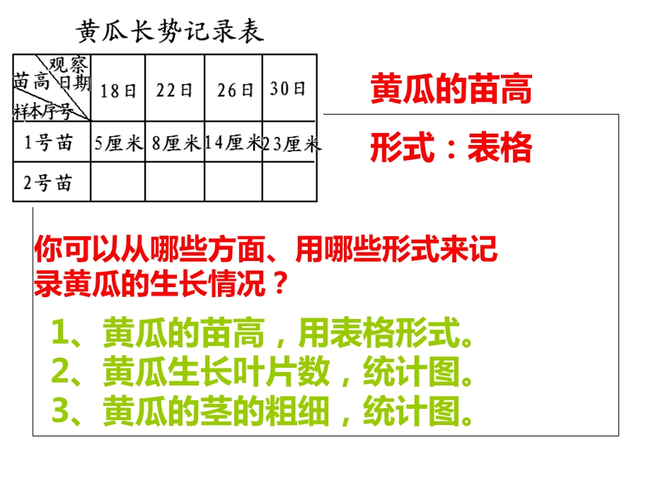 四年级科学下册-茁壮成长PPT.ppt_第3页