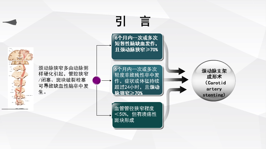 急性脑梗死后颈动脉支架植入术个案护理.ppt_第3页