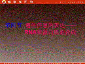 高一生物：第三章《第四节 遗传信息的表达-RNA和蛋白质的合成》课件15（浙教版必修2）.ppt