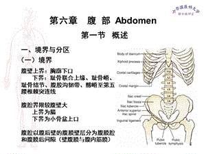 局部解剖学腹部医学.ppt