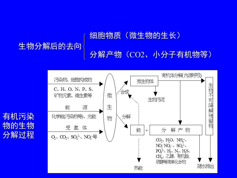 微生物的有机物降解.ppt_第3页