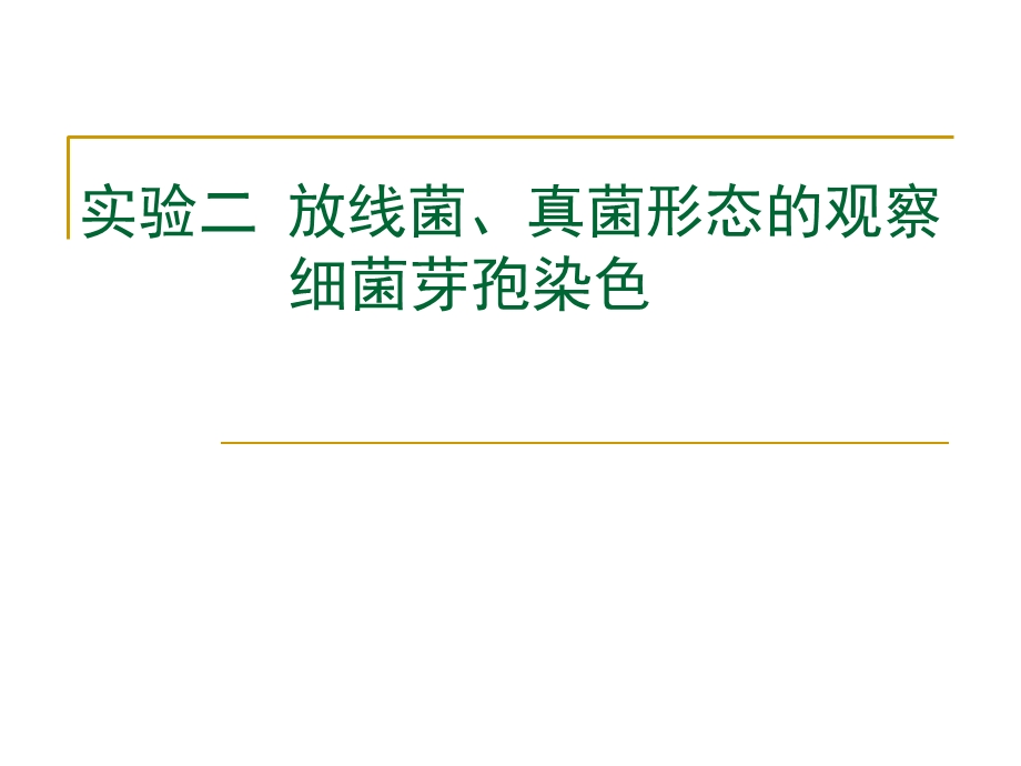 实验二放线菌、真菌形态观察.ppt_第1页