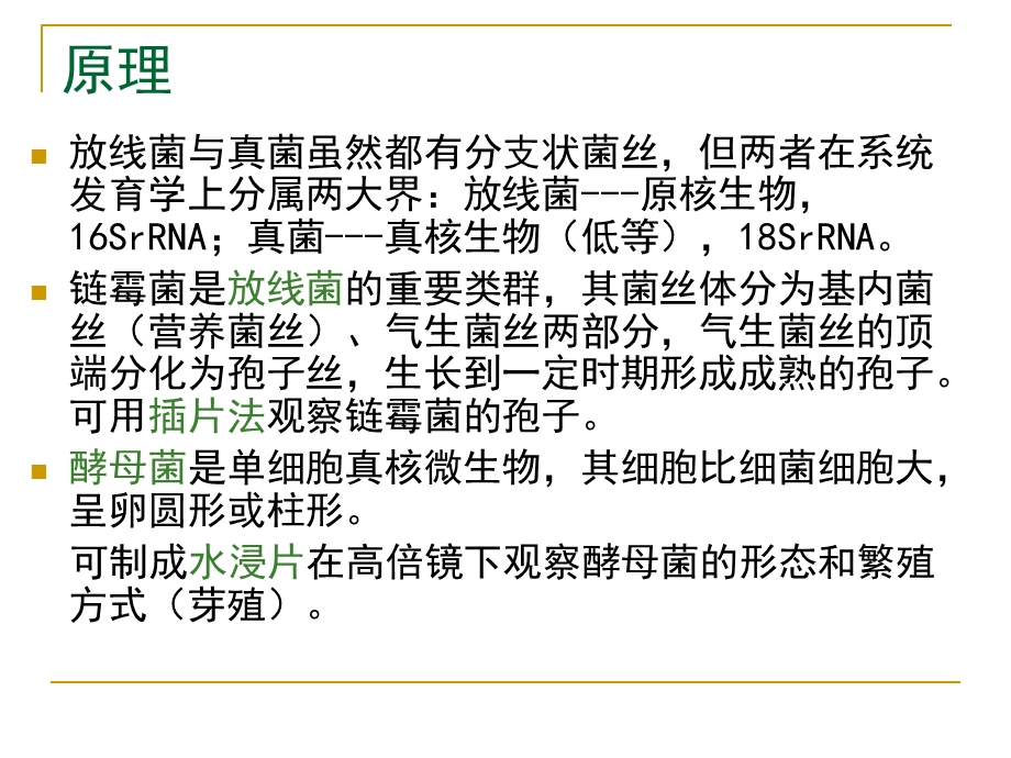 实验二放线菌、真菌形态观察.ppt_第3页