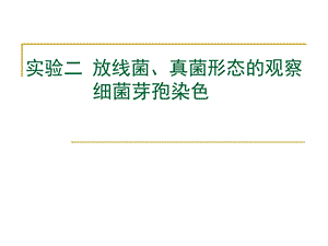 实验二放线菌、真菌形态观察.ppt