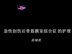 急性创伤后骨筋膜室综合征的护理.ppt