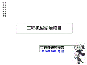工程机械轮胎项目可行研究报告.ppt