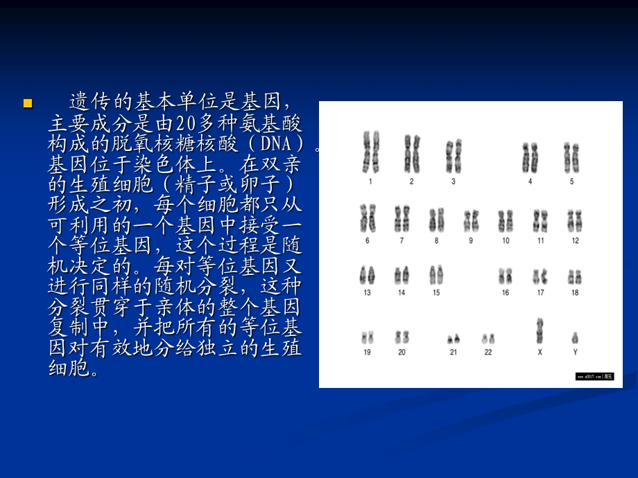 教育心理学天性与教养之争.ppt_第3页