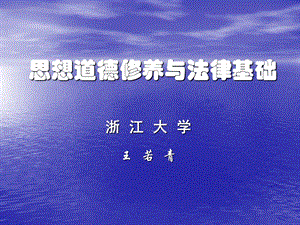 思想道德修养与法律基础-法律基础篇.ppt