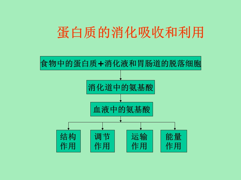 大豆蛋白完整.ppt_第3页