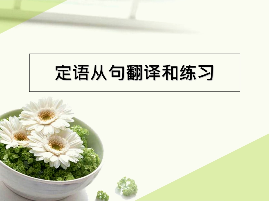 定语从句翻译和练习.ppt_第1页