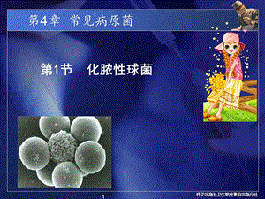 常见病原菌：化脓性细菌.ppt