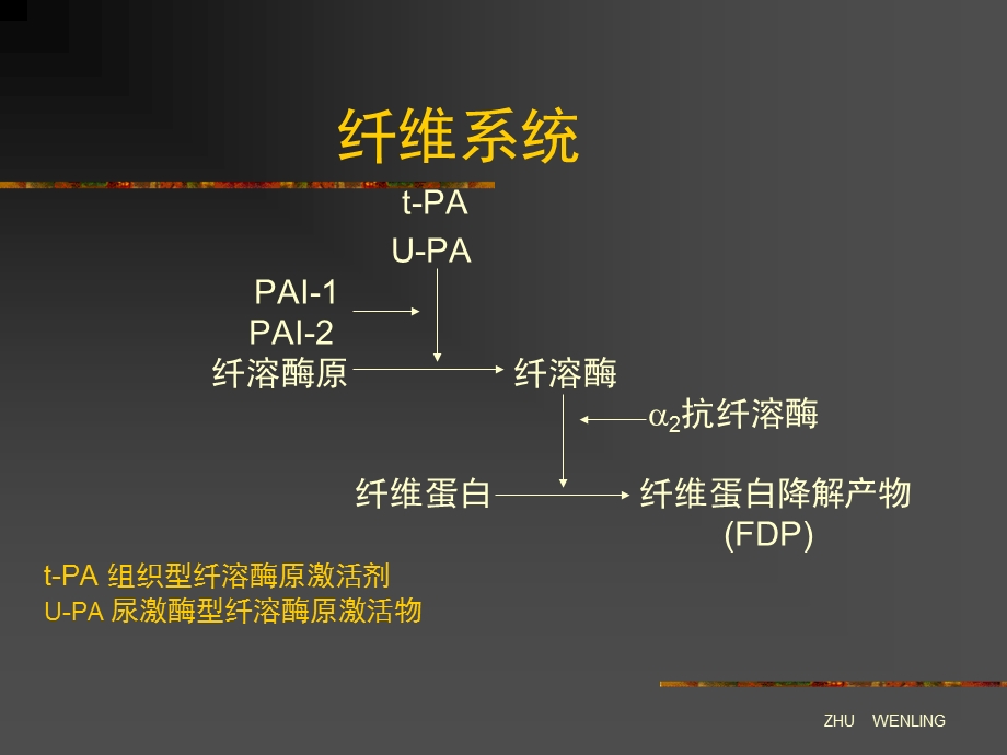 急性心肌梗死溶栓治疗.ppt_第2页