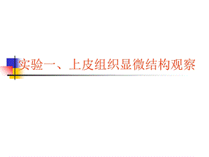 实验一上皮组织显微结构观察.ppt