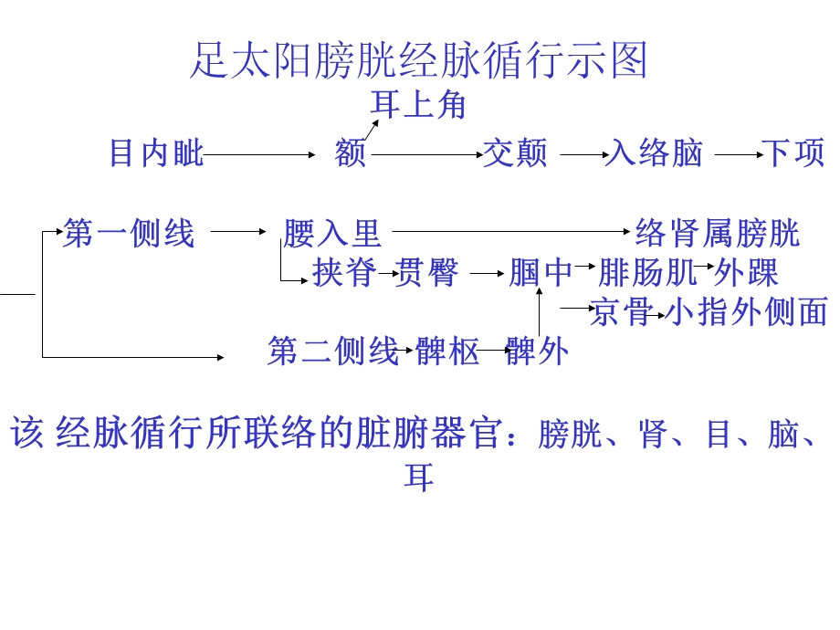 足太阳膀胱经脉循行示图ppt【精品-ppt】.ppt_第2页