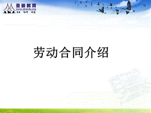 就业指导课保险与劳动合同讲解.ppt