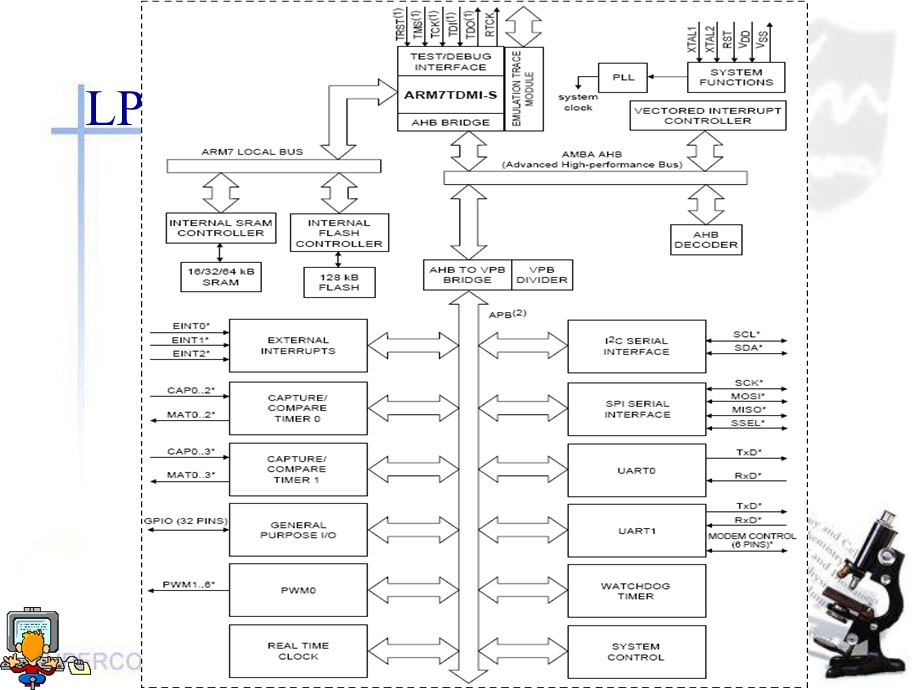 嵌入式计算机系统实验.ppt_第3页